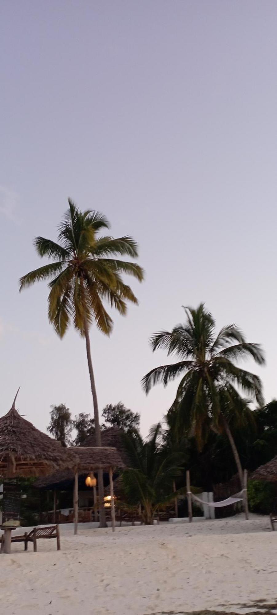 Coral Bay Zanzibar *